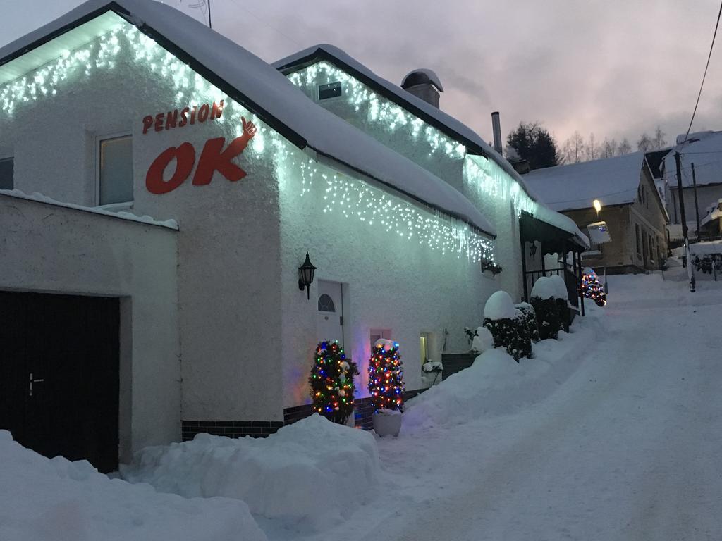 Penzion Ok Svoboda nad Úpou Kültér fotó