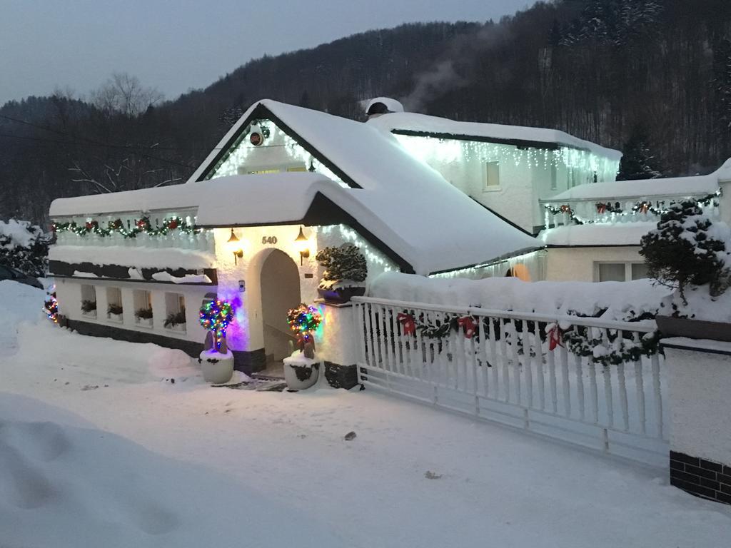 Penzion Ok Svoboda nad Úpou Kültér fotó